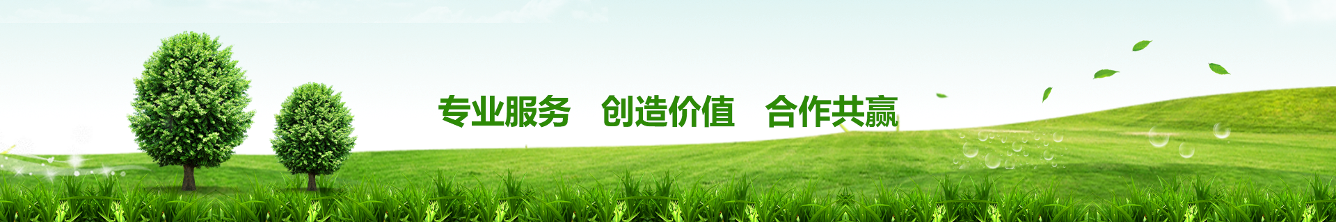 大型臭氧發生（shēng）器